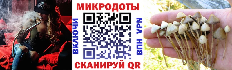 Псилоцибиновые грибы MAGIC MUSHROOMS Усть-Катав