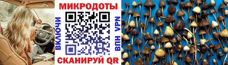 хочу   Усть-Катав  Галлюциногенные грибы Cubensis 